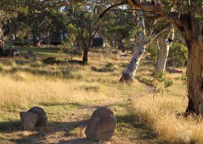 Nature Walk - to the distillery