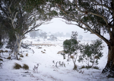 Snow across the valley